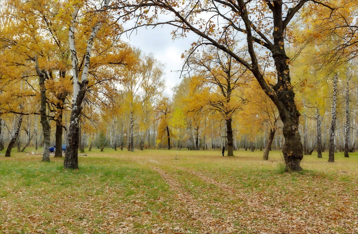 ОСЕНЬ ЦВЕТА ЯНТАРЯ