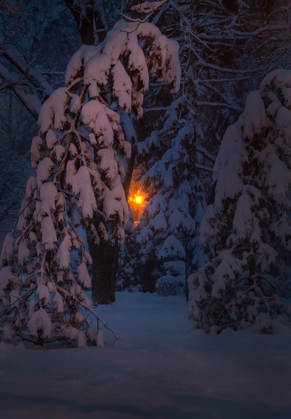 Даруя сказку