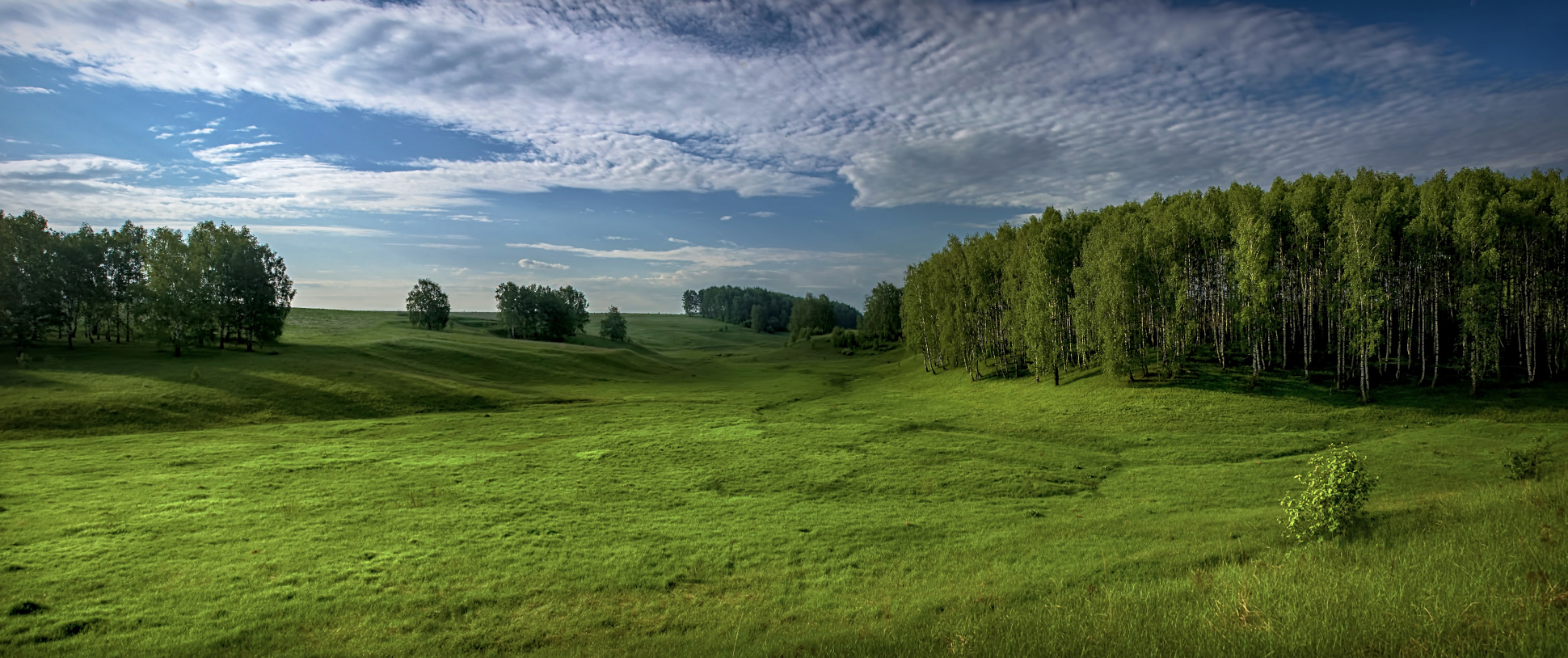 Зелёное утро.