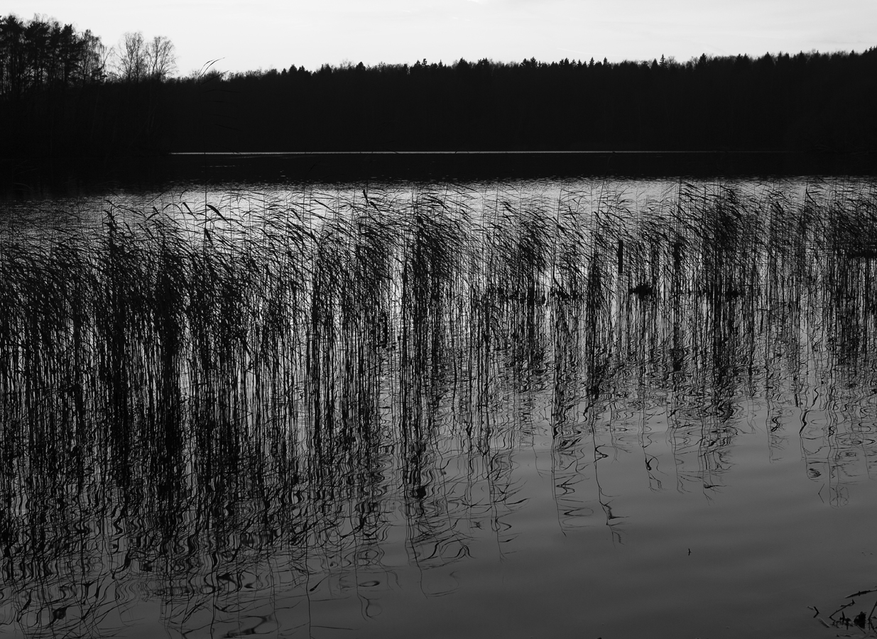 Каляки-маляки