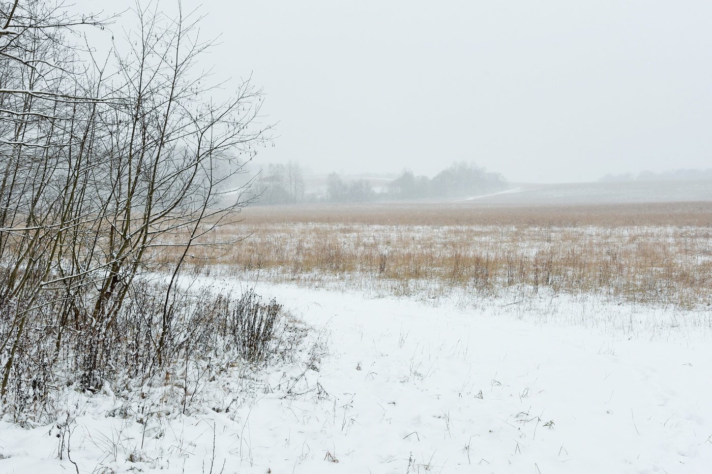 "До свиданья, осень, до свиданья, подошла прощания пора..."