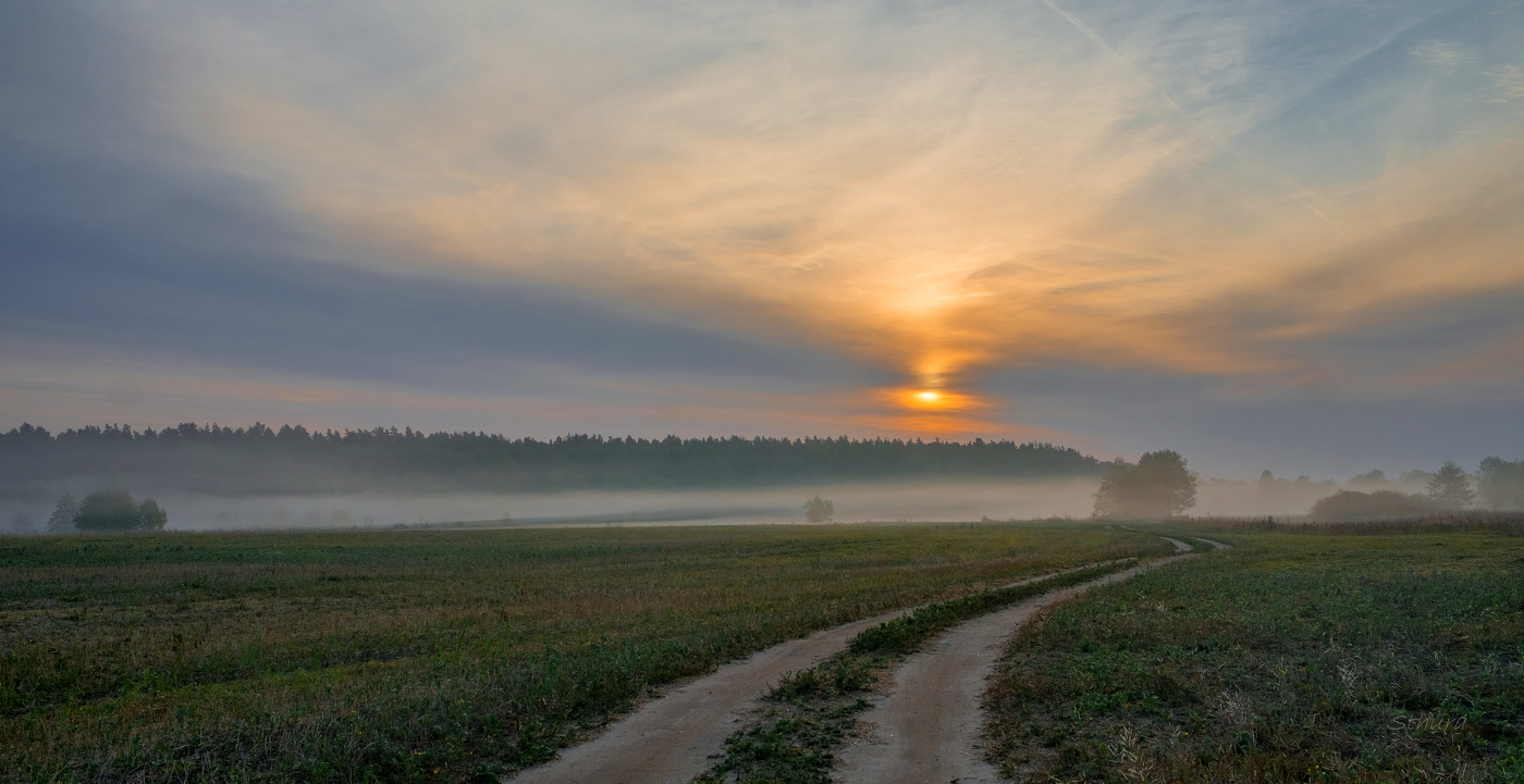 Дорога в поле.