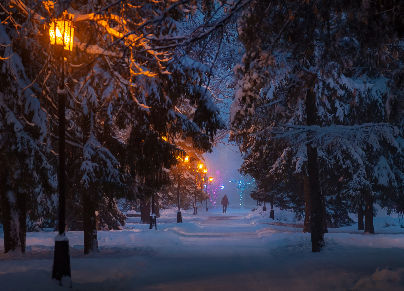 Ночной парк