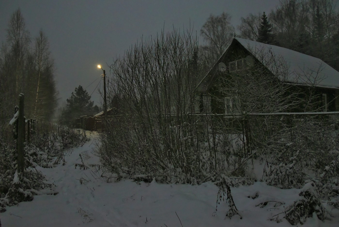 "Снег навалил. Все затихает, глохнет ..."