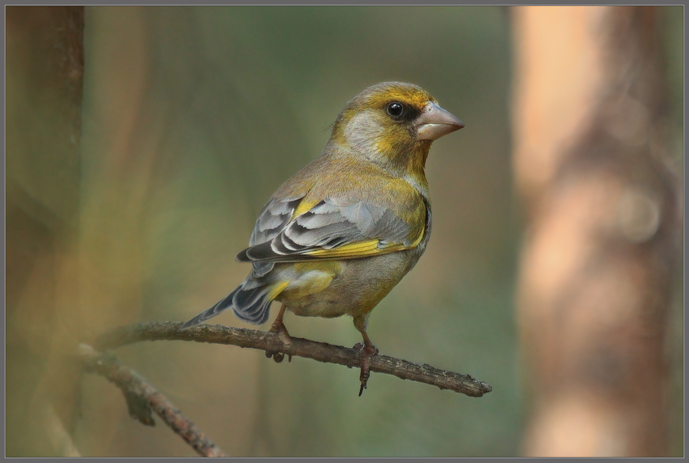 Суровый мужЫк