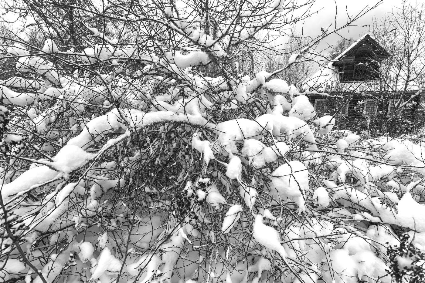 Жизнь вокруг