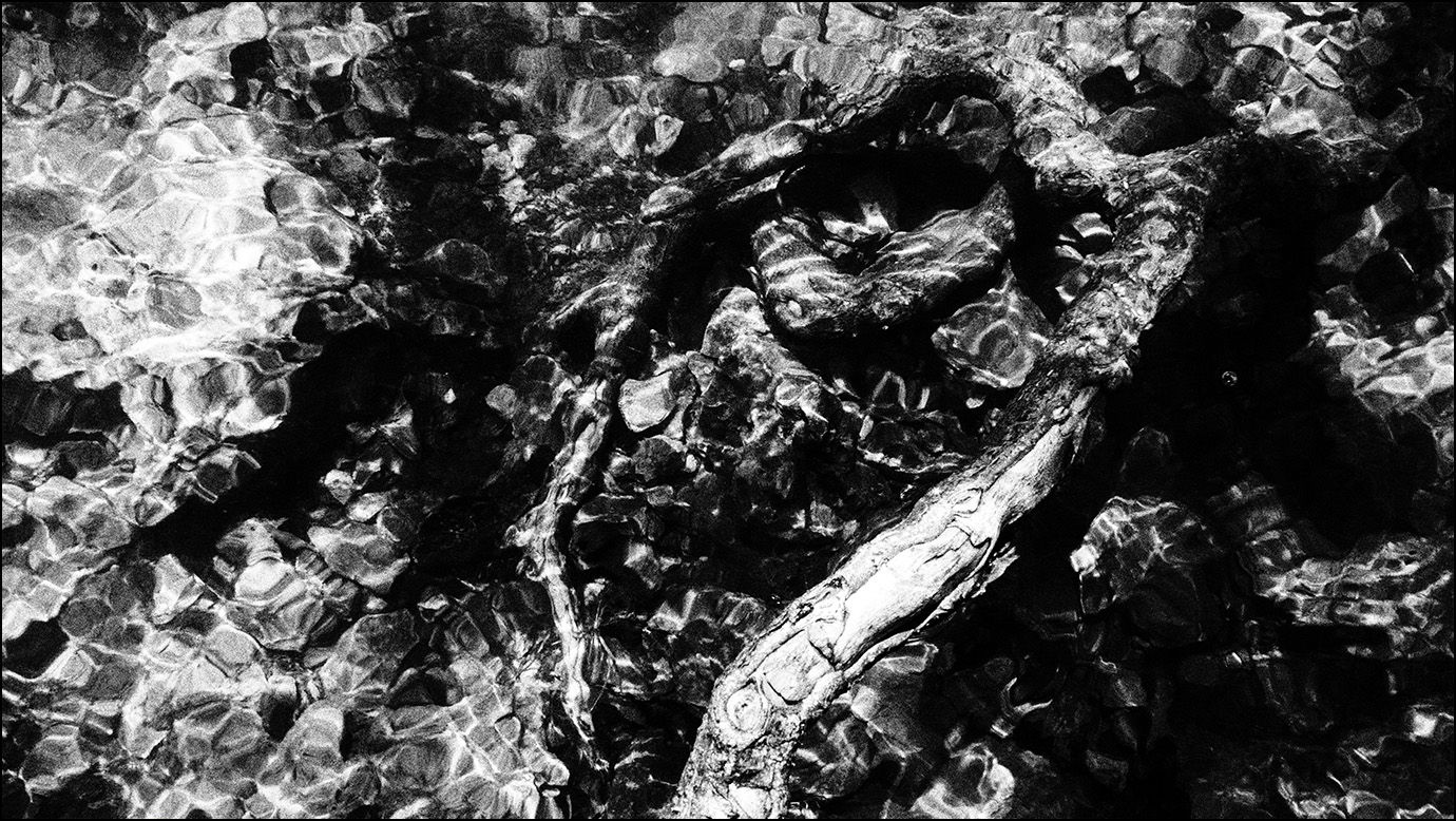 натюрморт с дровами