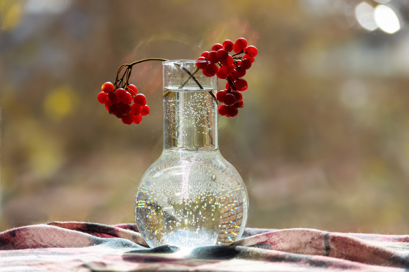 Осени натюрморт калиновый...