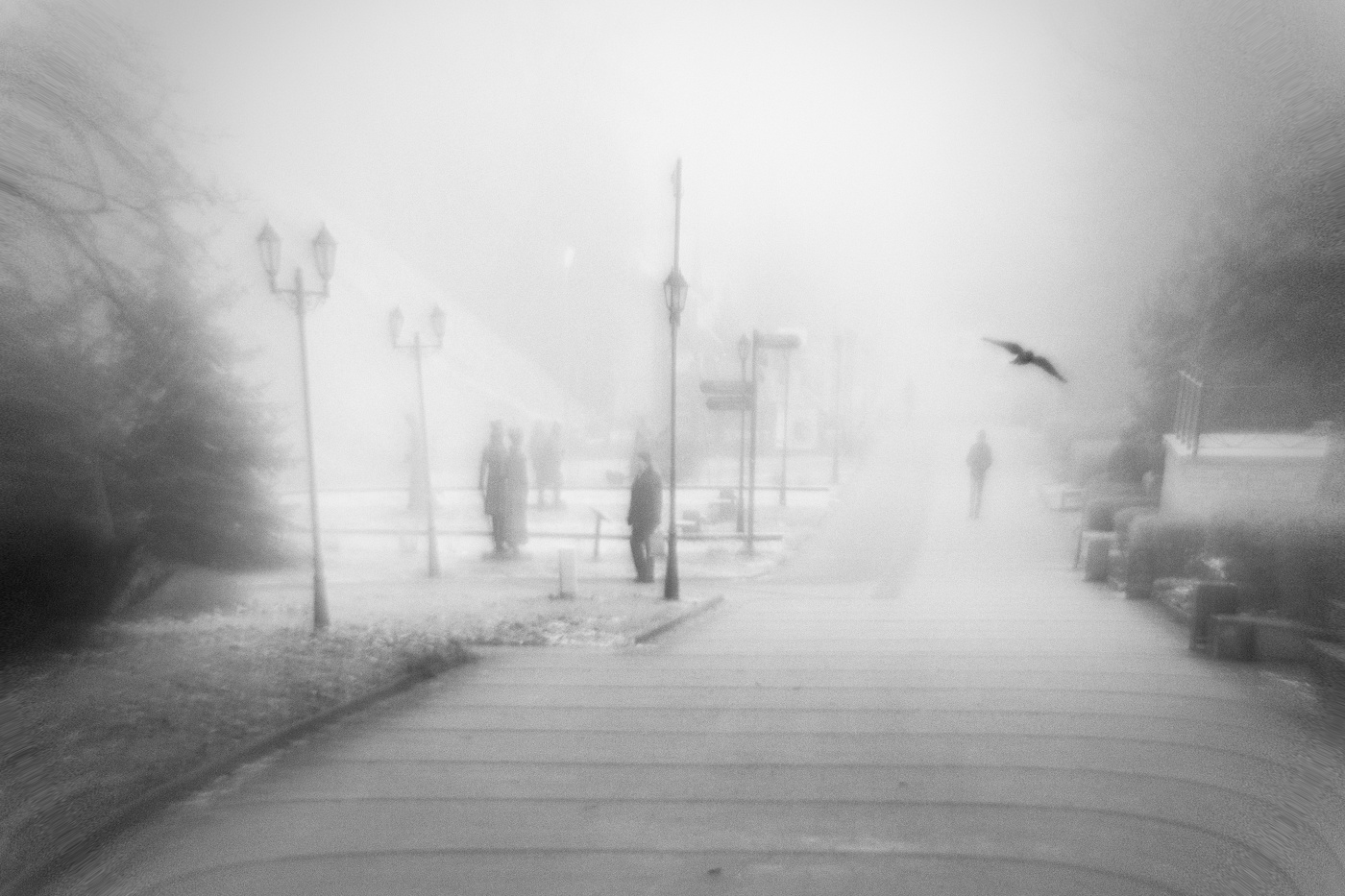 Люди на улице