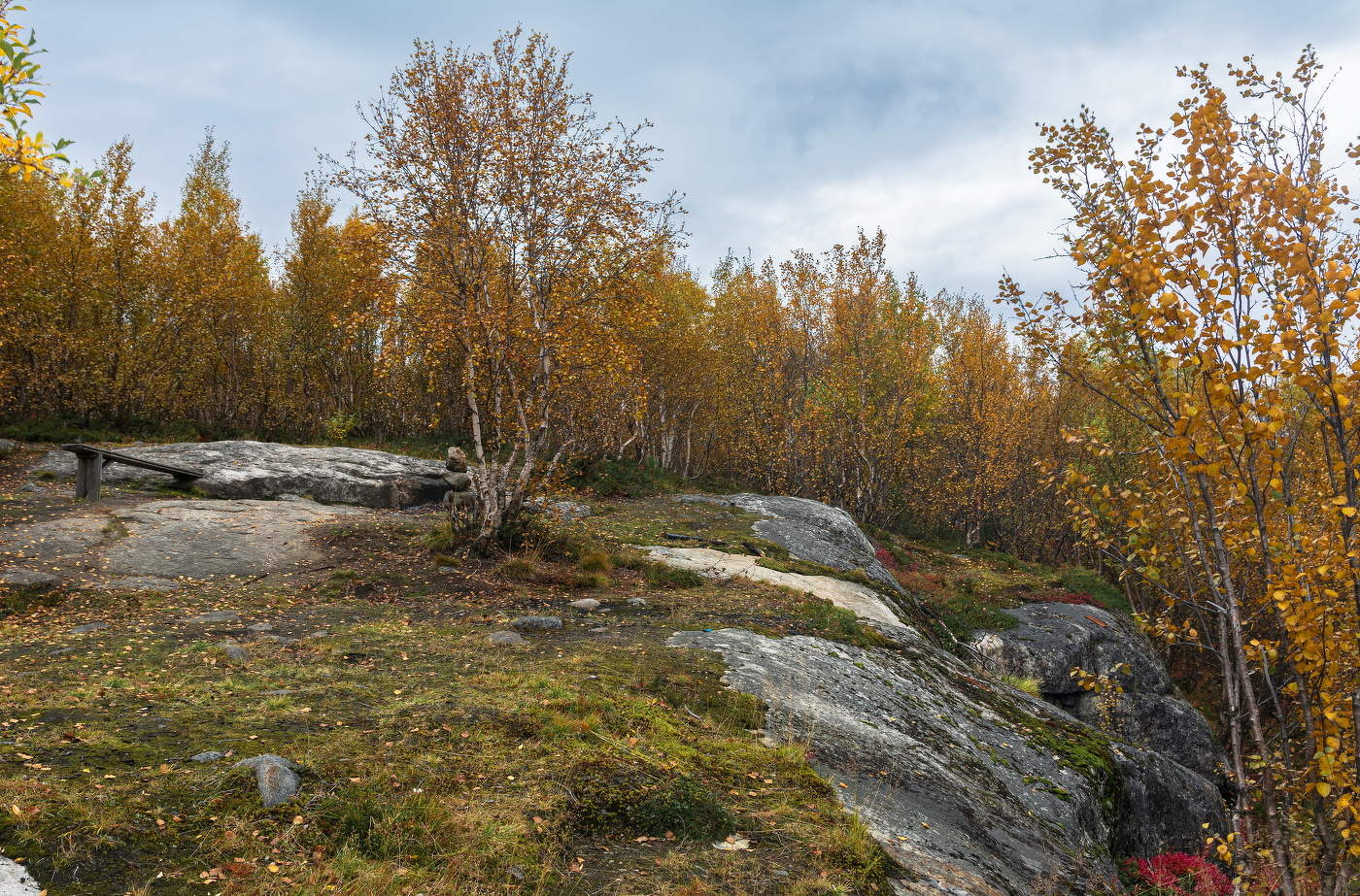 "Желтый лист осенний на земле лежит..."