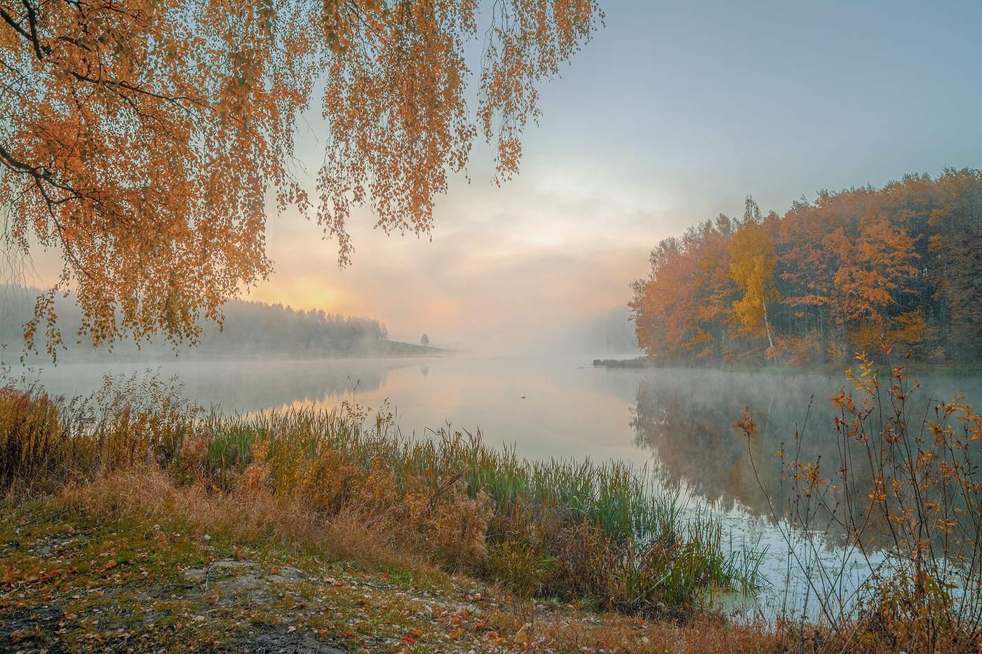 Осенняя пора...
