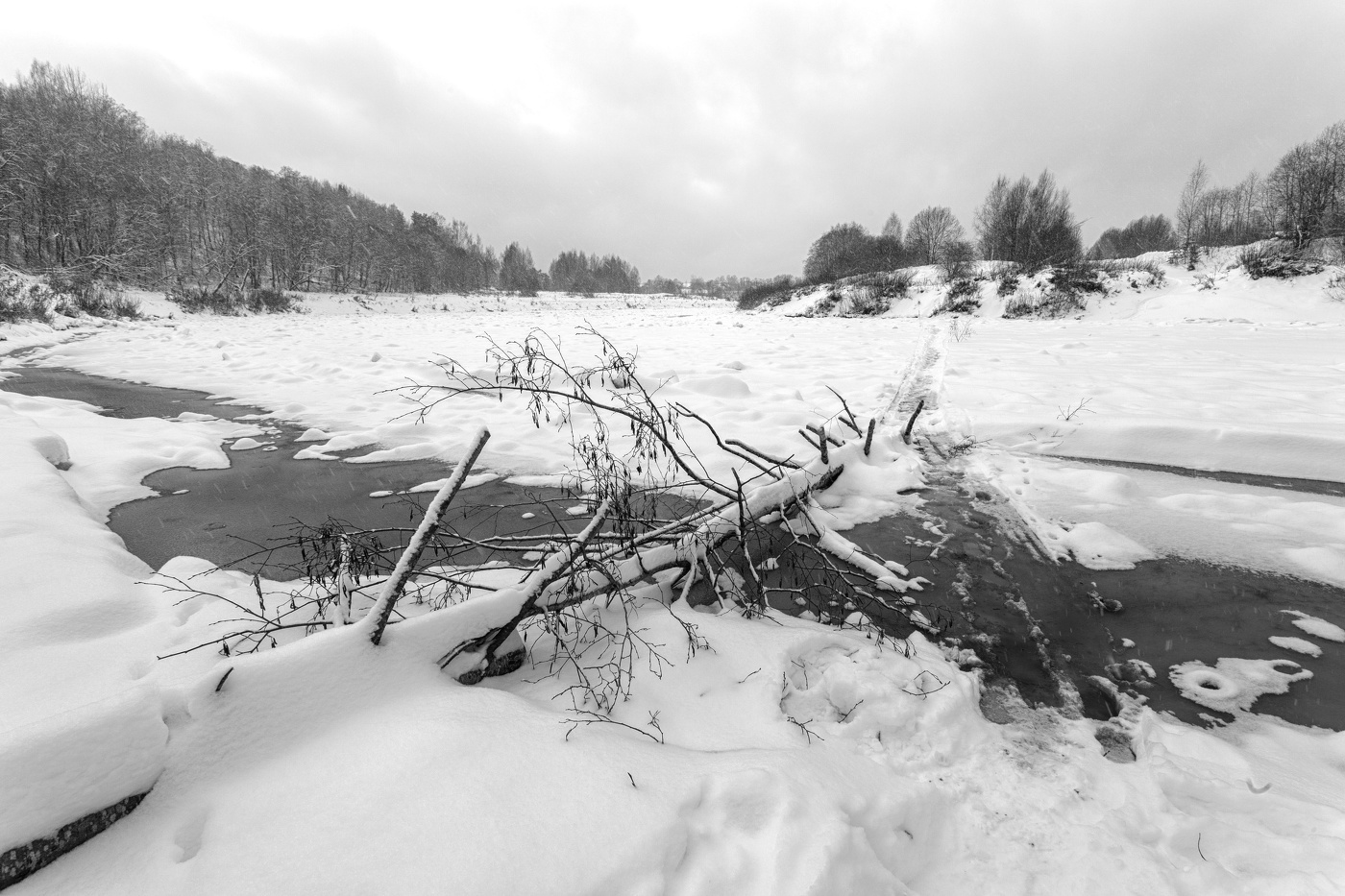 Жизнь вокруг