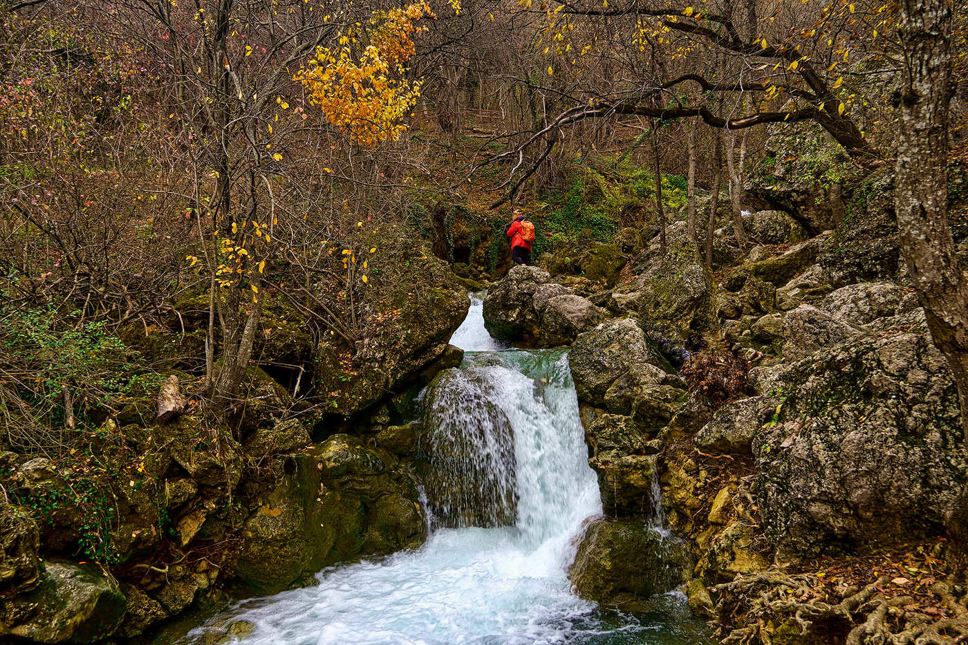 Декабрь в Кизилкобинском ущелье