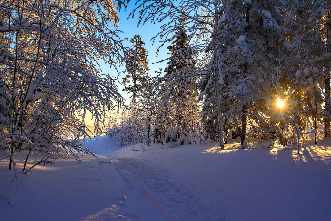 Утреннее солнце
