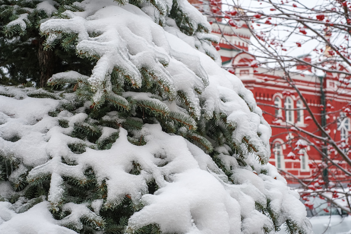 Зимы начало...