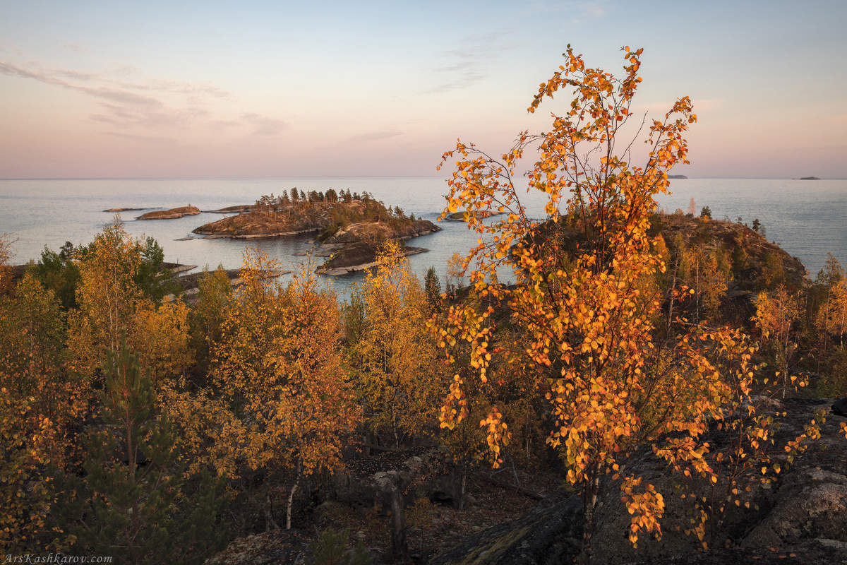 "Березы в золотом наряде"
