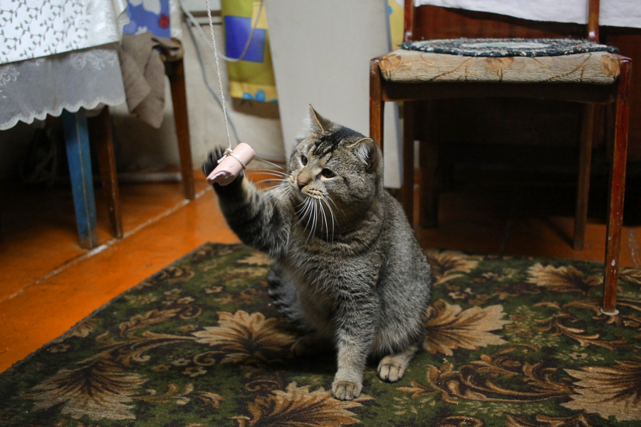 "Встреча с прекрасным"