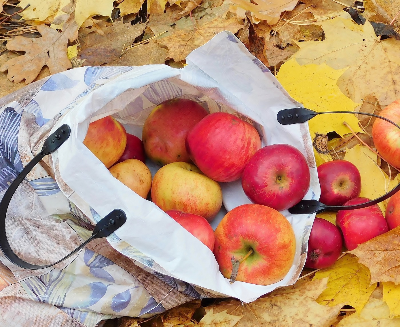 Немного теплых красок