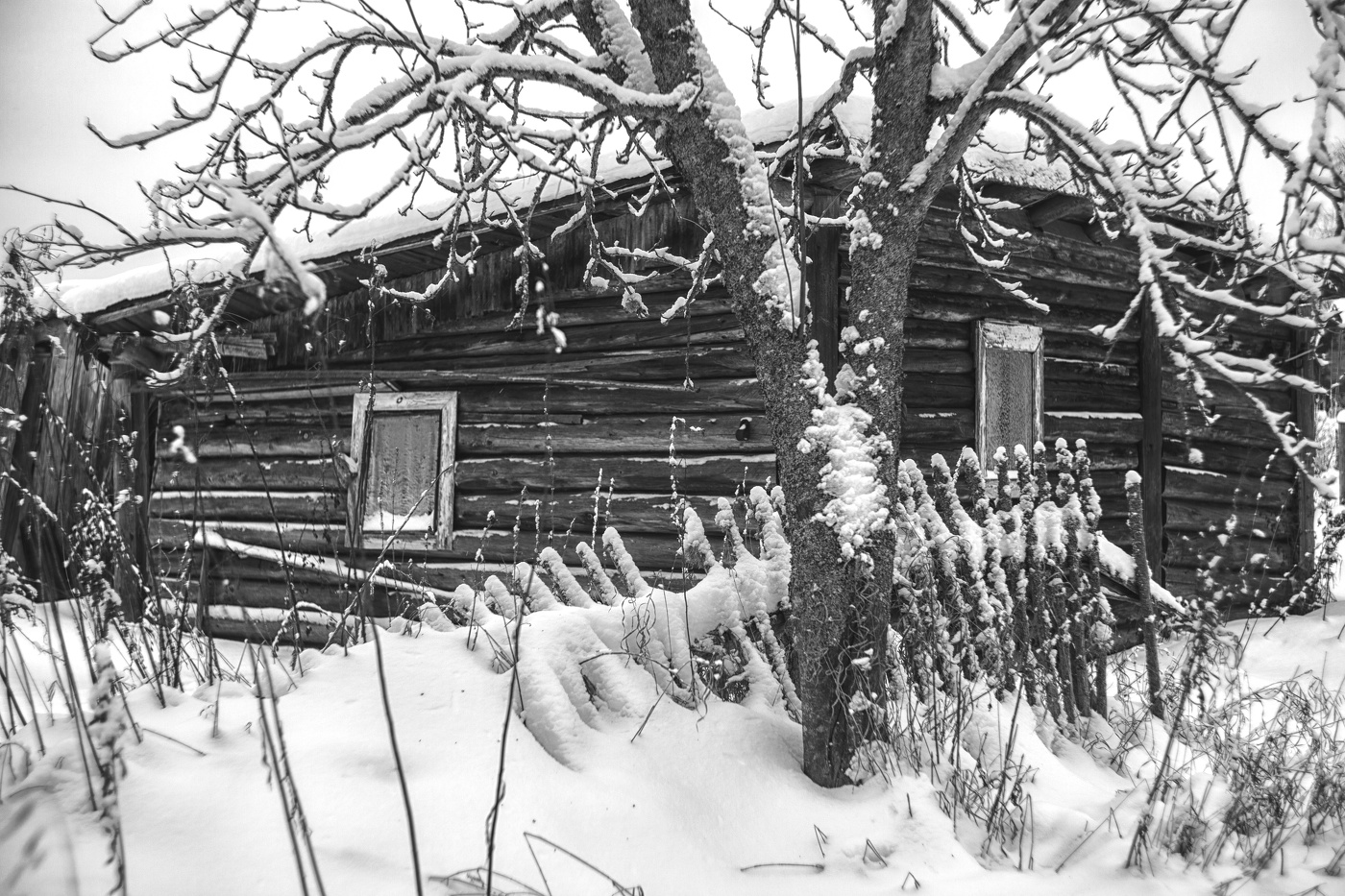 Жизнь вокруг