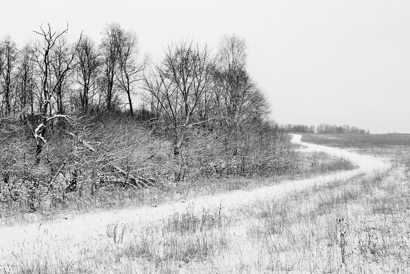 "По дороге зимней, скучной ..."