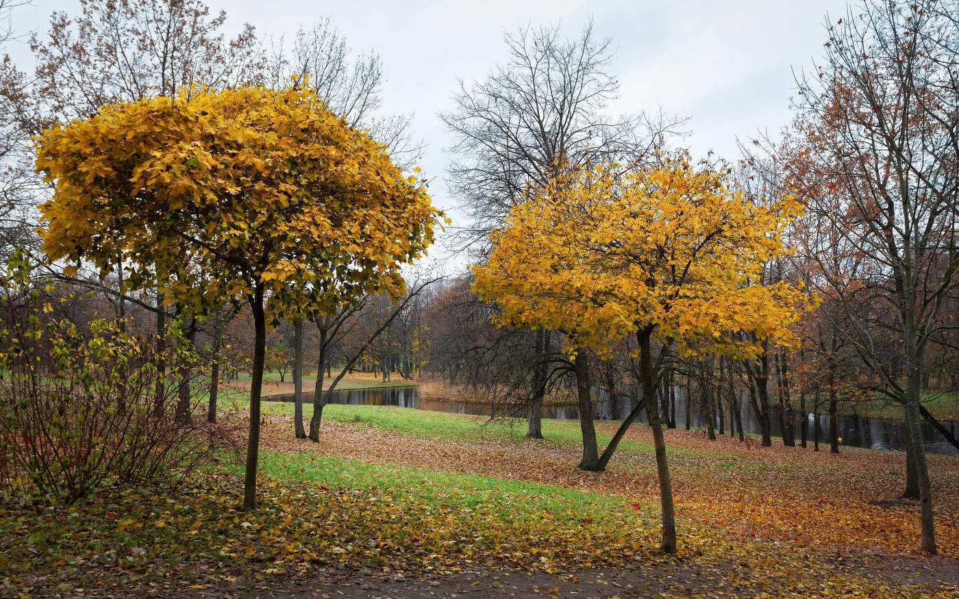 Im Herbst des Parks ...