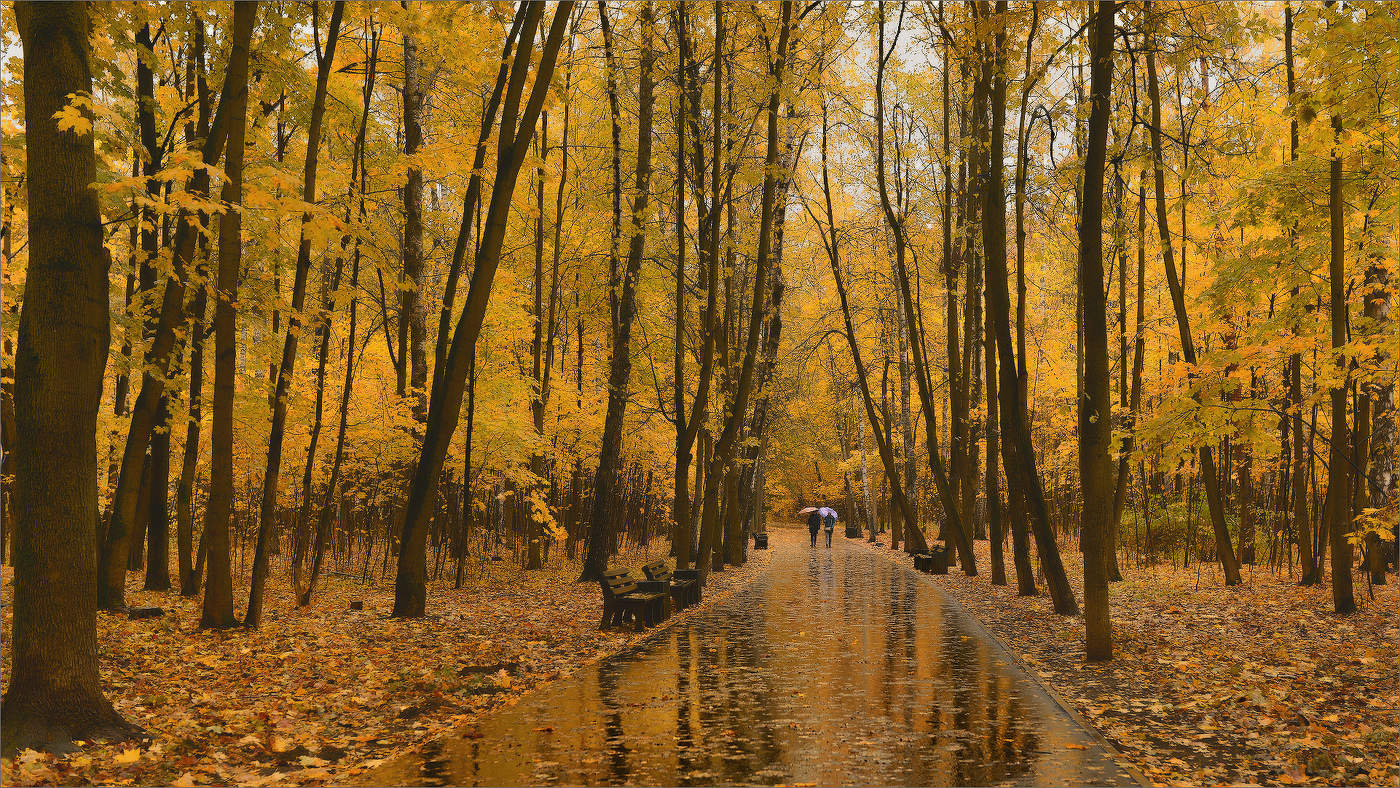 ПРОГУЛКА ПО ОСЕННЕМУ ПАРКУ...