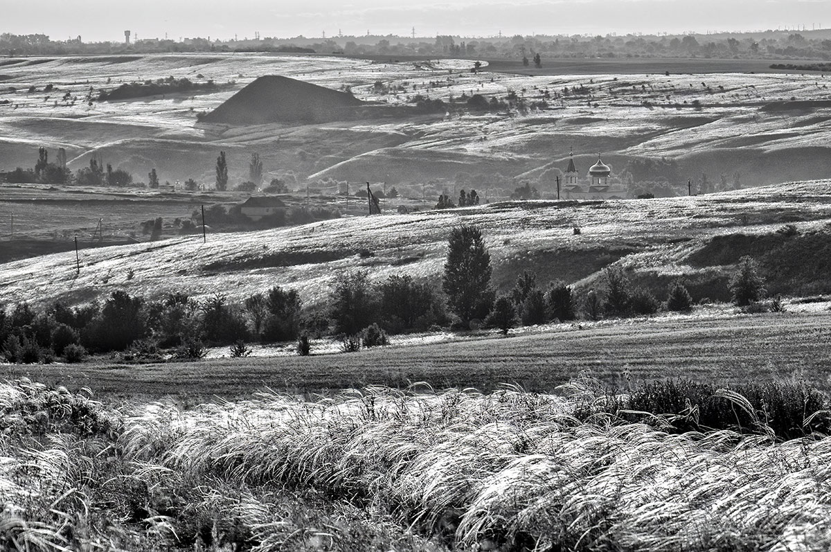 Степь серебряная