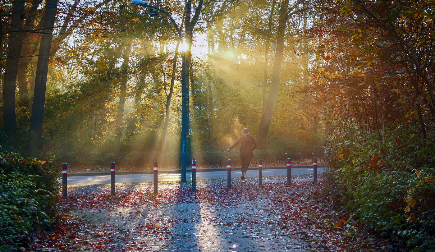 Сквозь фонарь