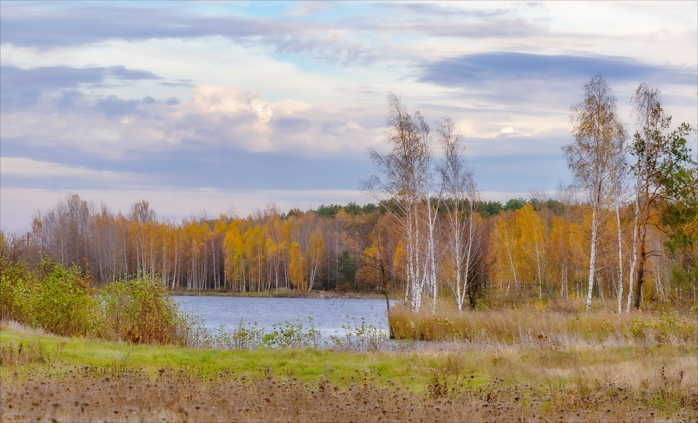 ПОЗДНЯЯ ОСЕНЬ