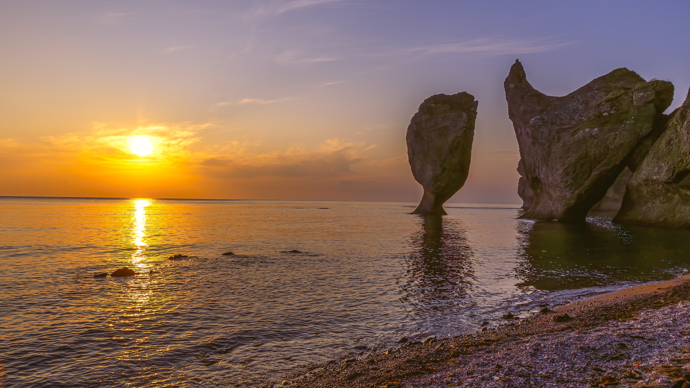 Рюмка и петух