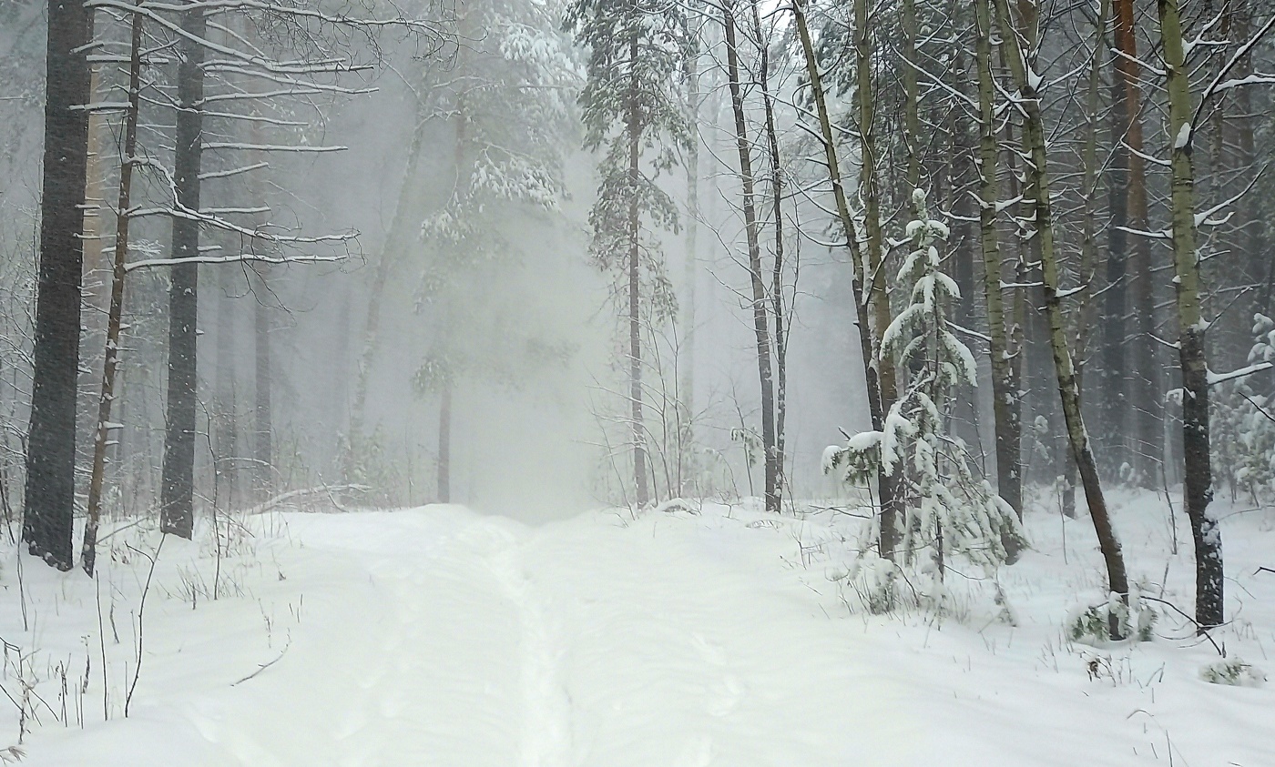 снег и ветер