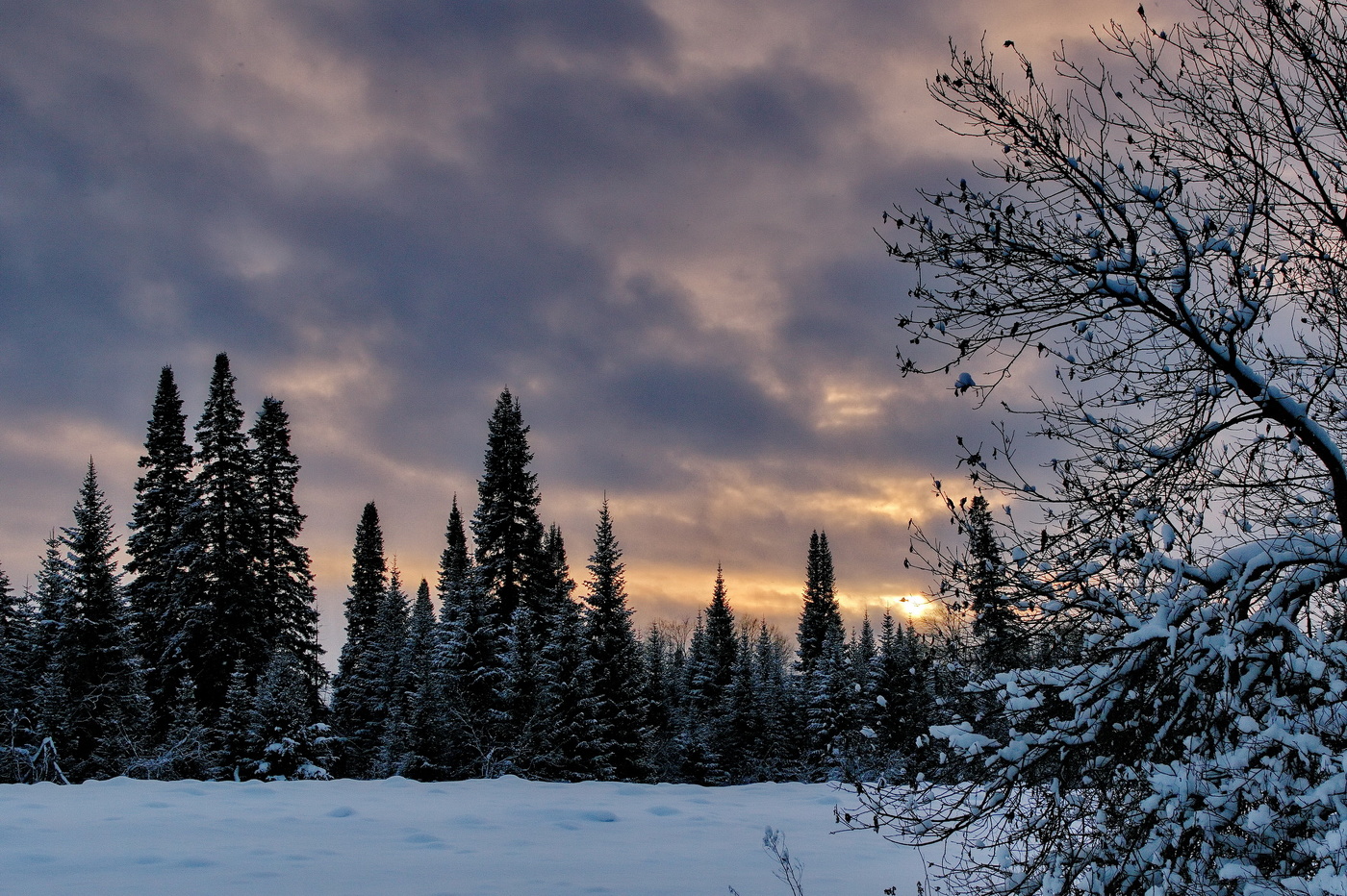 Декабрьский вечер.