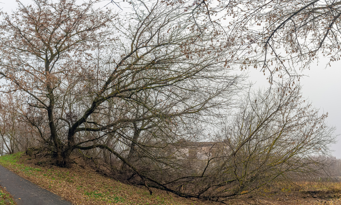 отголоски прошлого... у заброшенной ГЭС
