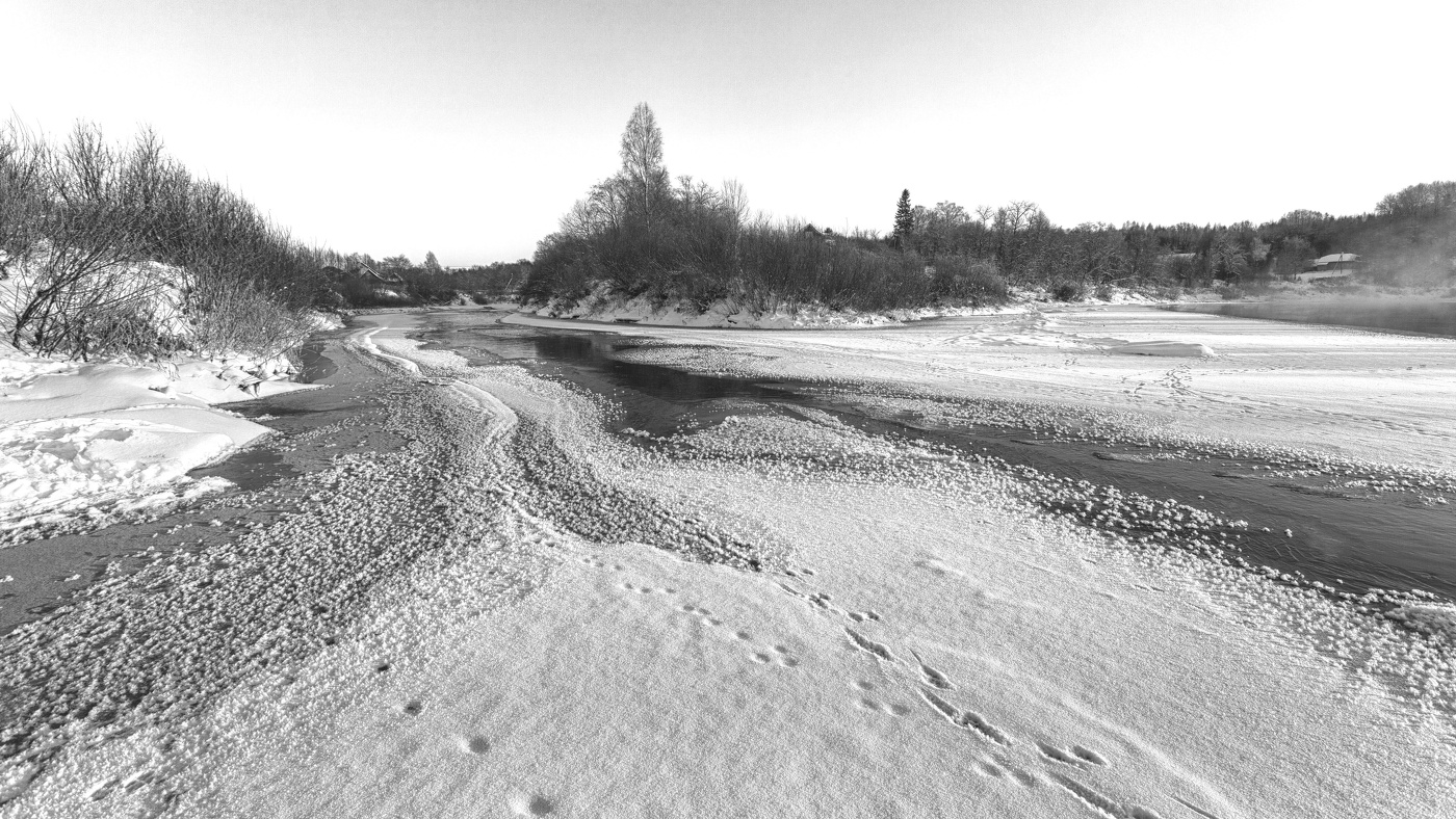 Жизнь вокруг