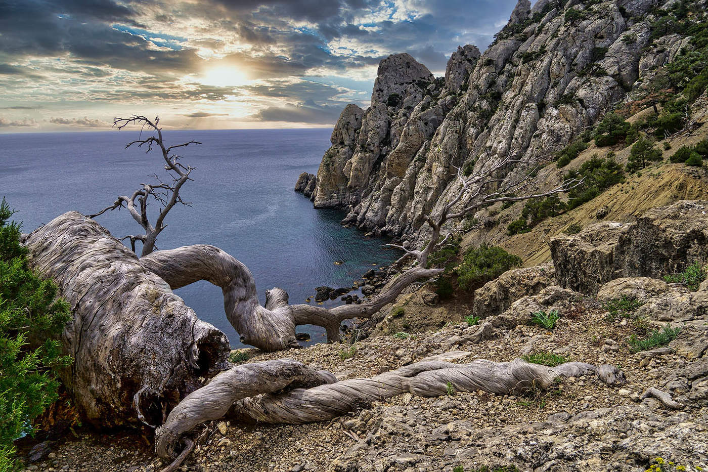 У мыса Чикен