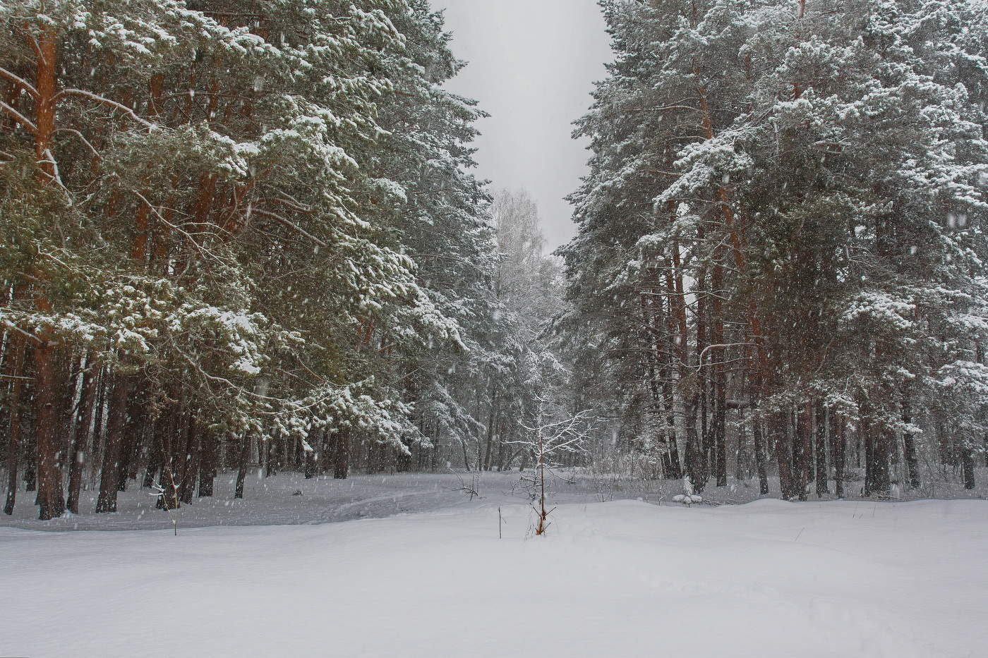 Непогодливый пейзаж
