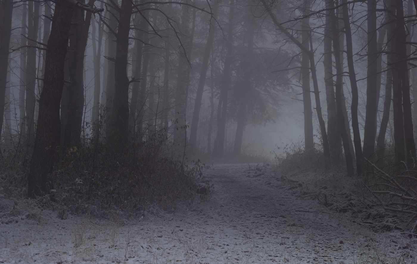 Туманный рассвет