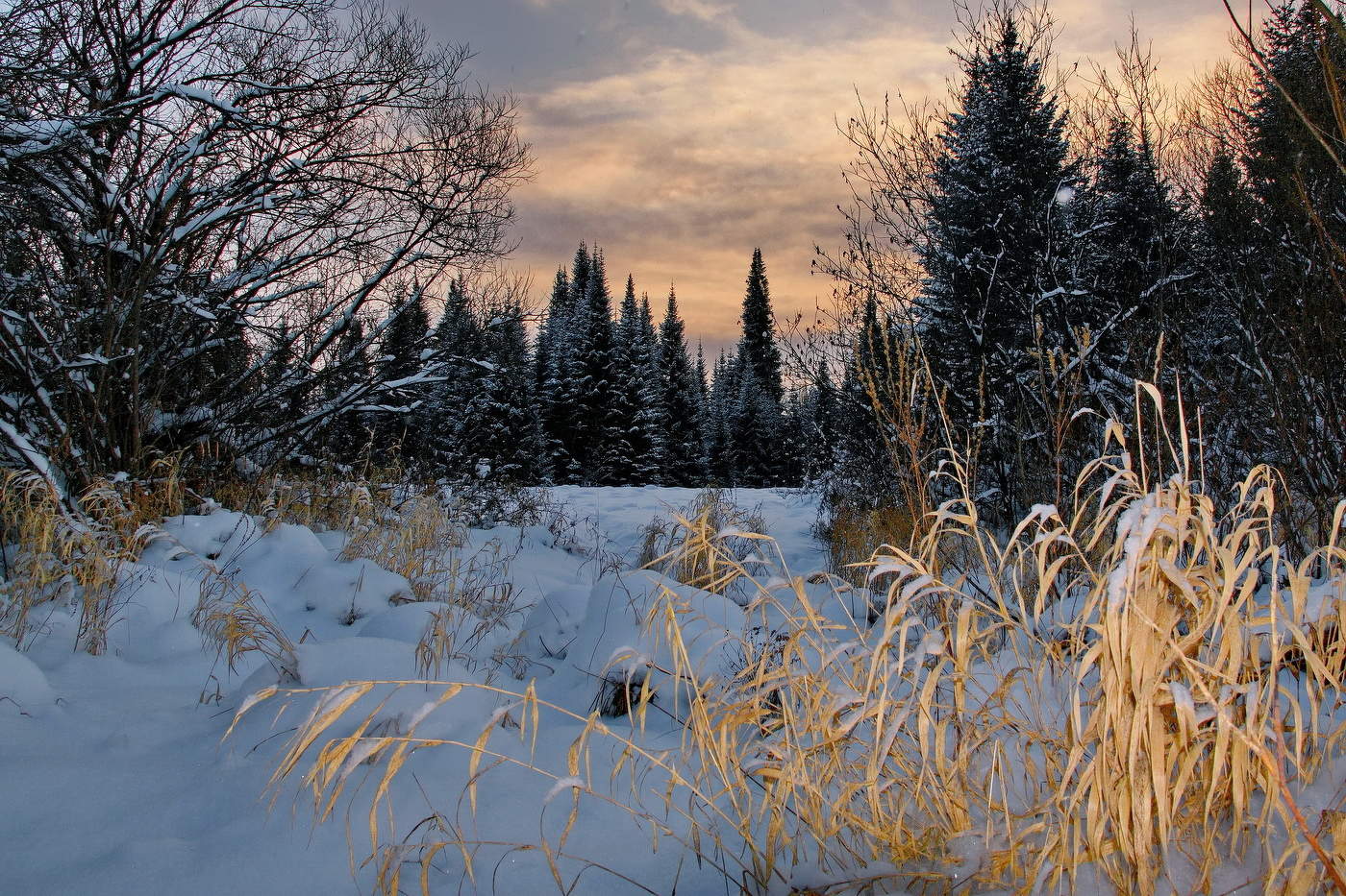 Зимний вечер.