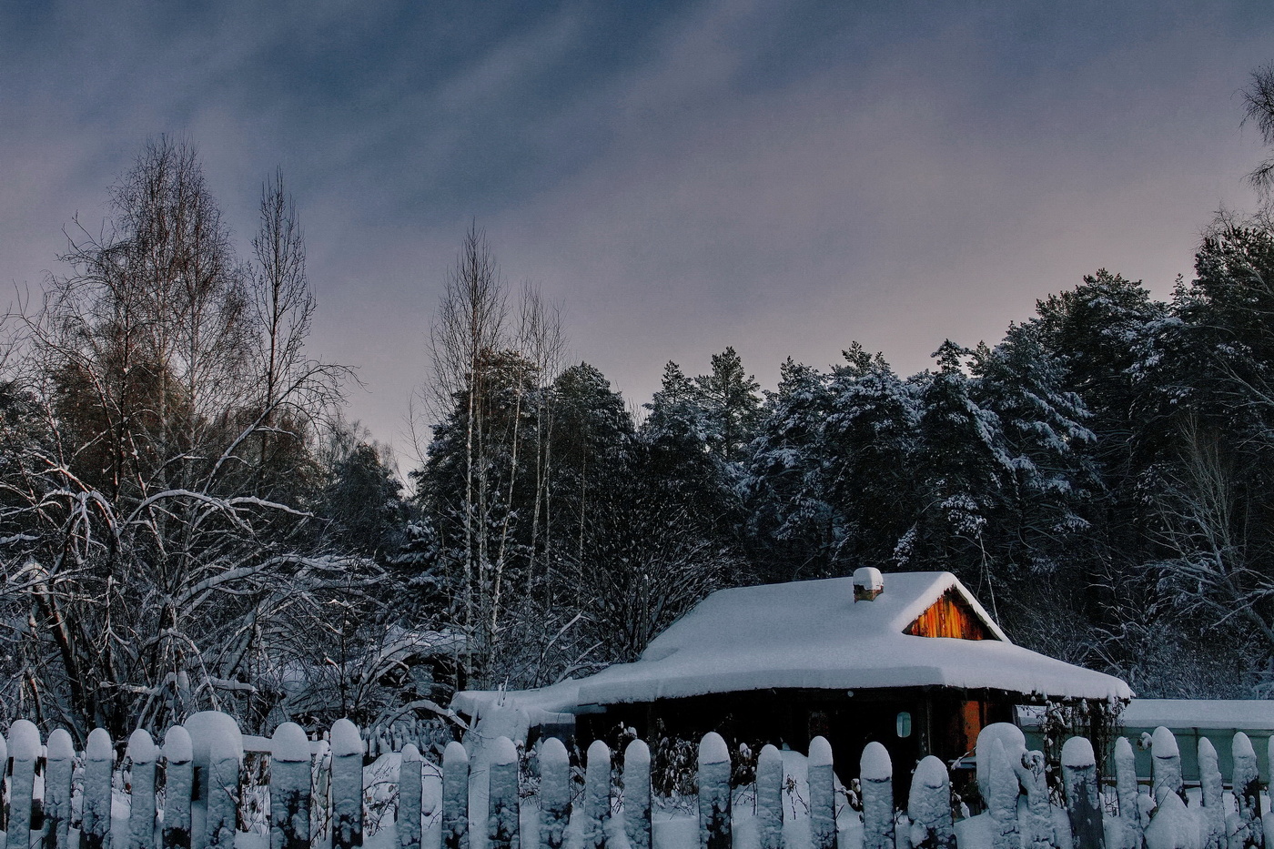 В морозной глуши.**