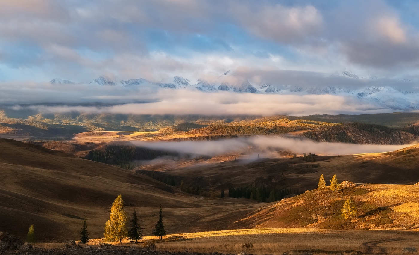 Легкий утренний туман