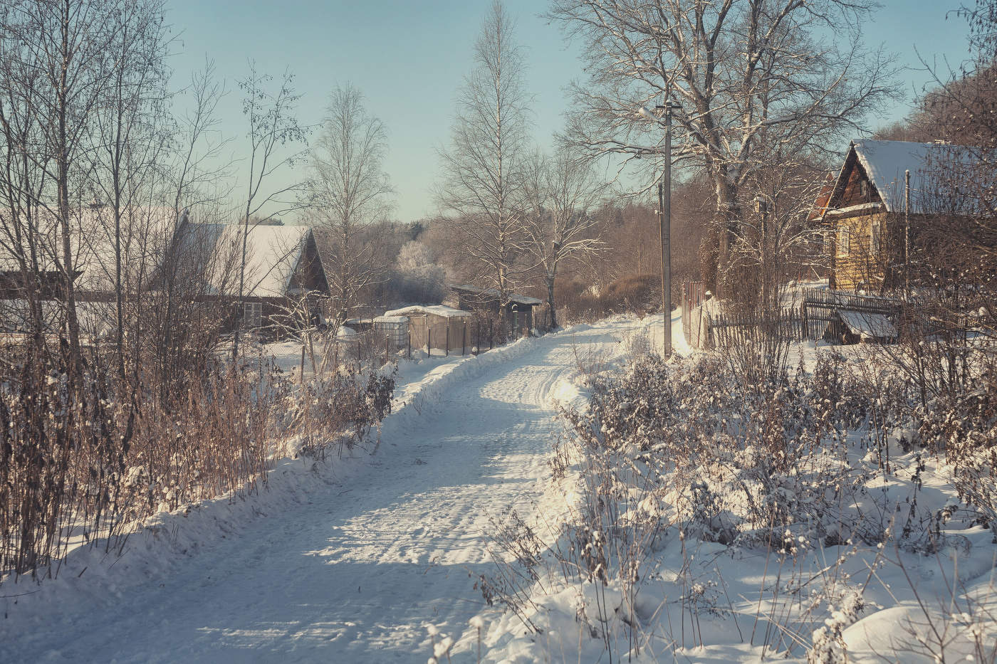Жизнь вокруг