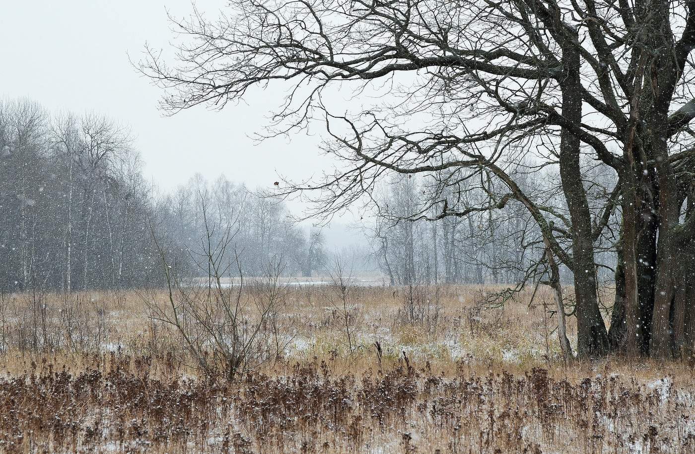 "Пасмурный день, как сопливый ребенок ..."