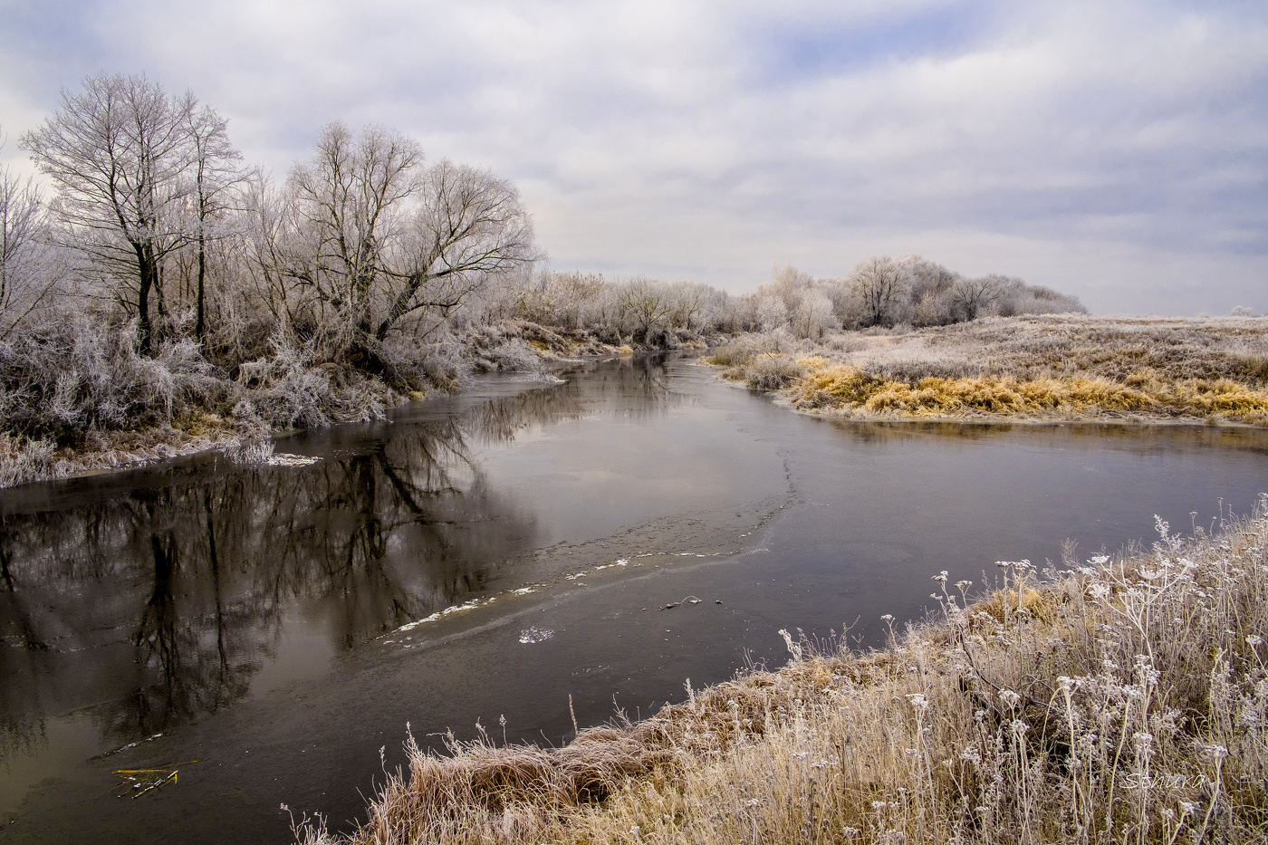 Осень, ноябрь.