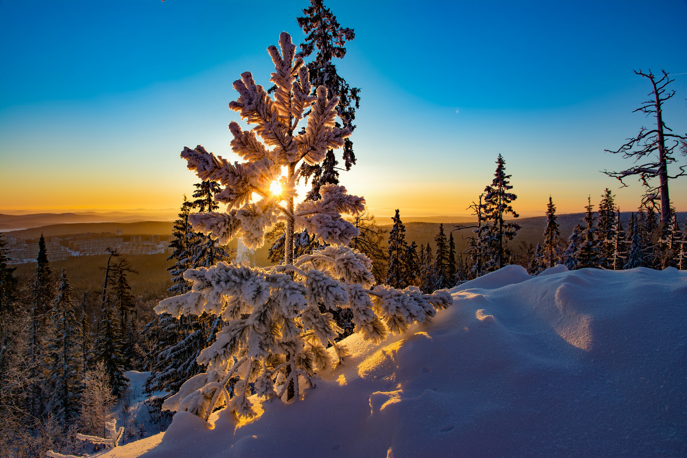 Здравствуй утро