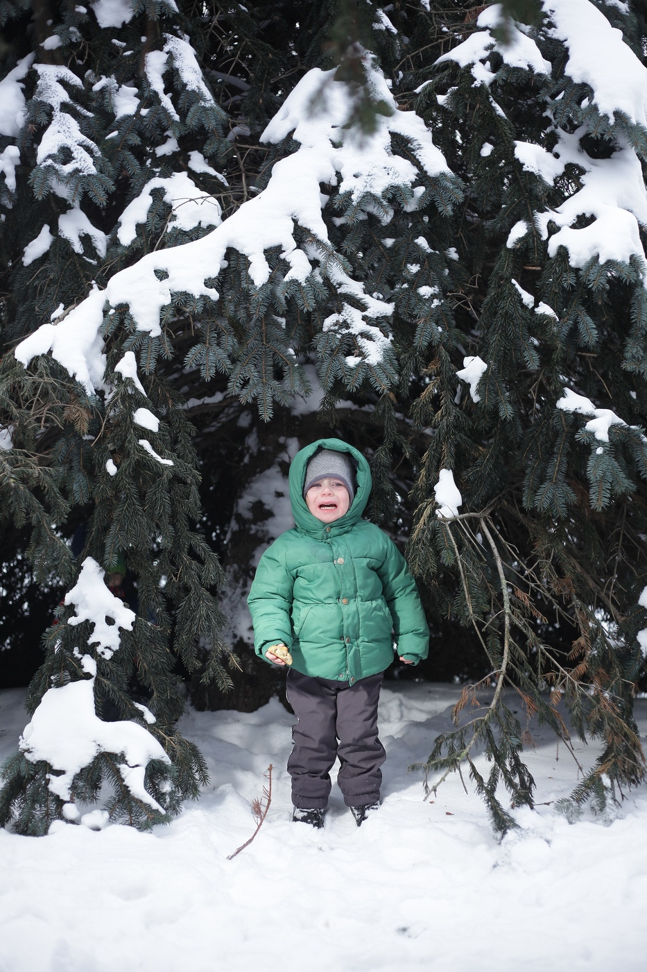 зимняя прогулка