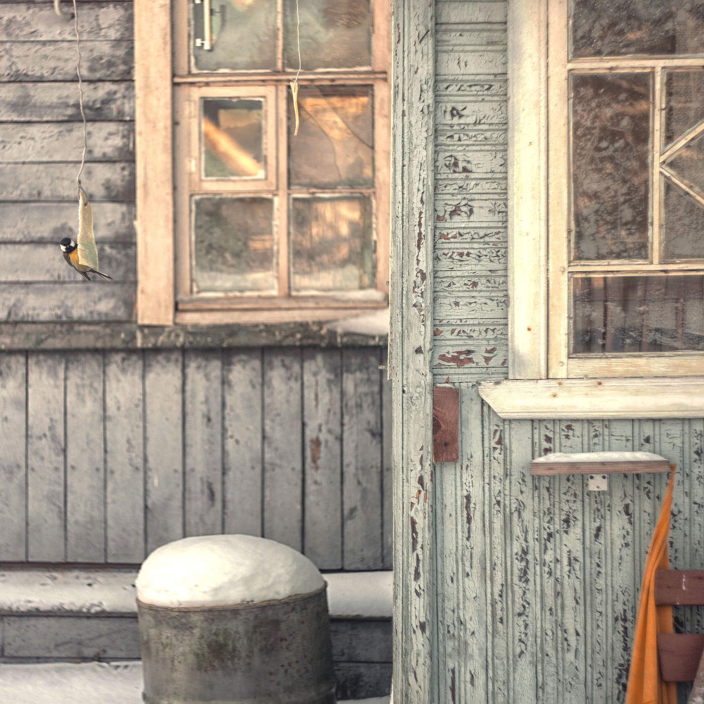 Жизнь вокруг