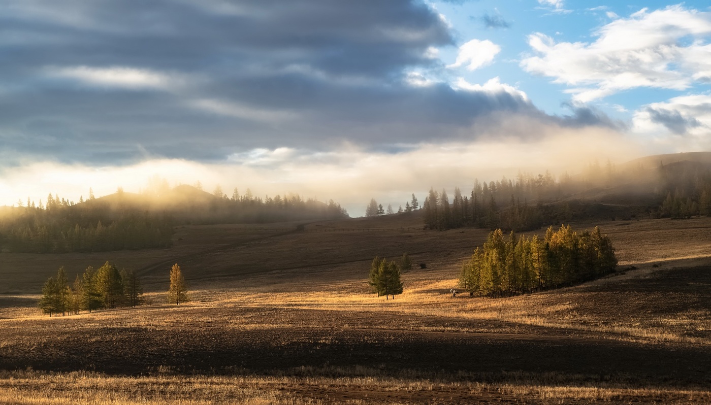 Утренний туман