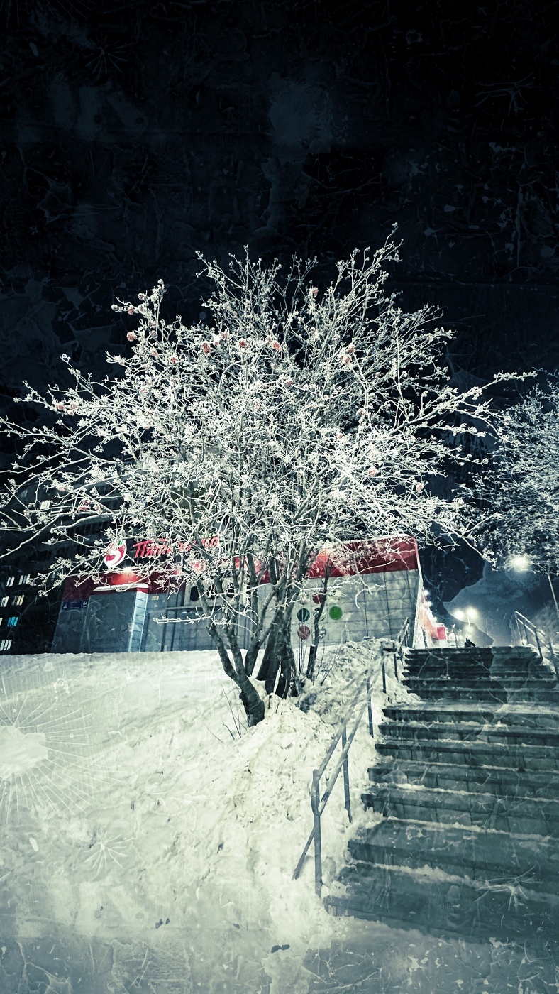 Декабрьский вечер