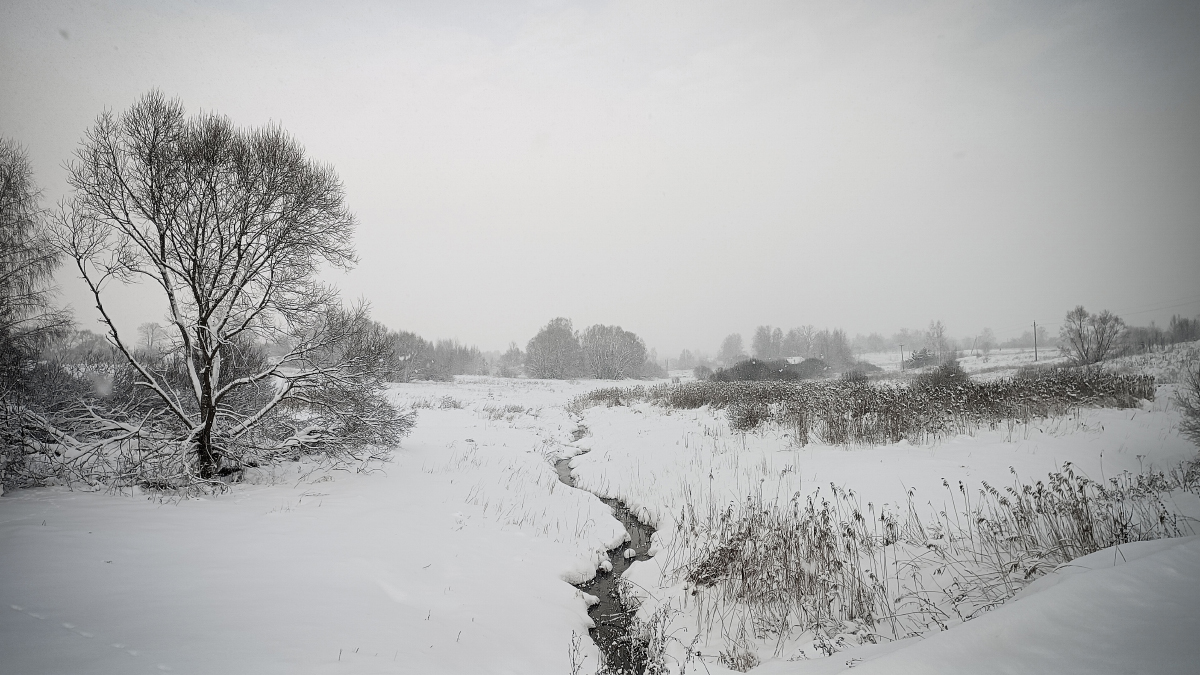 Деревенские виды