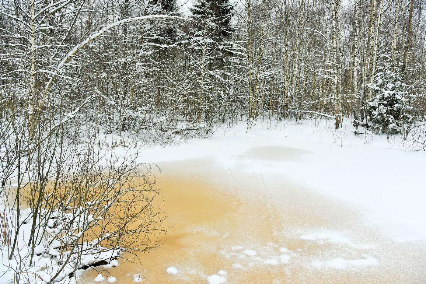 Оттепель ...